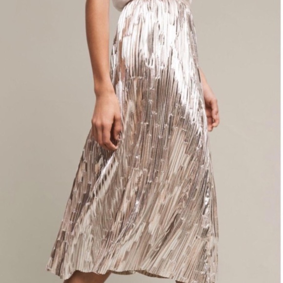 Anthropologie Dresses & Skirts - ⭐️HP⭐️Maeve Anthropologie Skirt